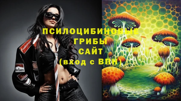 таблы Лиски