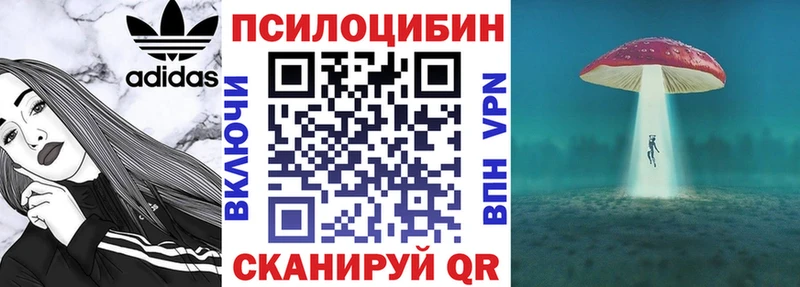 Купить где  Кемь  Псилоцибиновые грибы GOLDEN TEACHER 