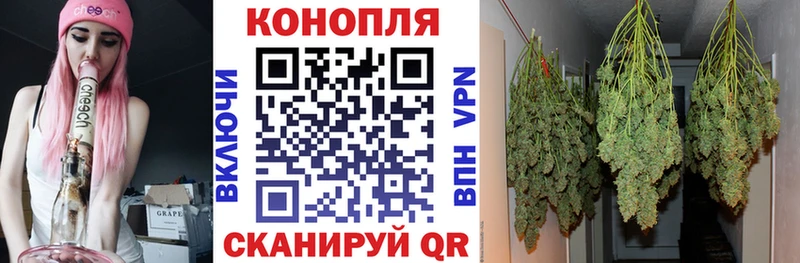 Канабис AK-47  Купить закладки  Кемь 